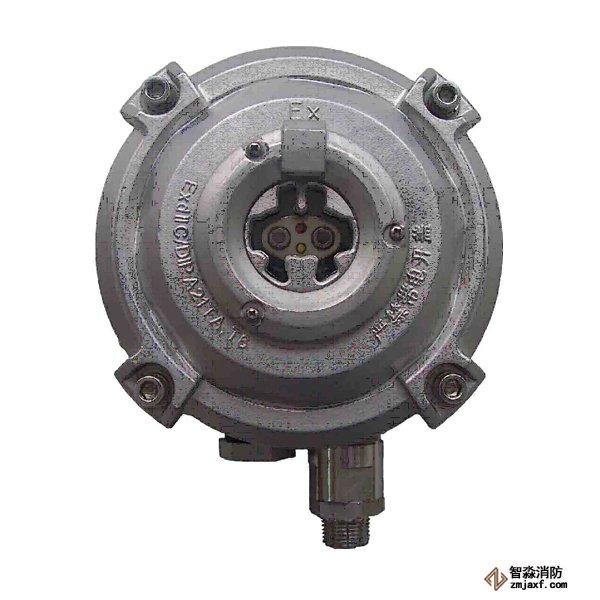 海湾D-9107R防爆点型红外火焰探测器